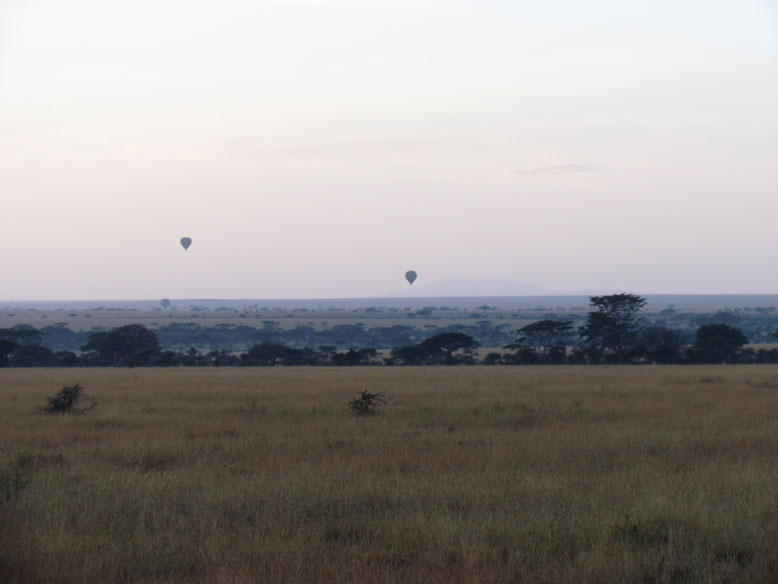 globos aerostaticos sobre el serengurti